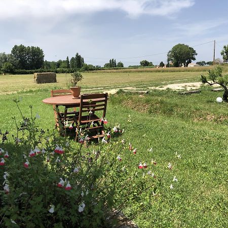 آرْلْ Le Mas Marguerite المظهر الخارجي الصورة